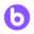 Bolo Forms AI